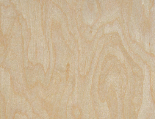 comprare Radici di albero d'acero Veneers ingegnerizzati 2,5m lunghezza × 64cm larghezza online manufacture