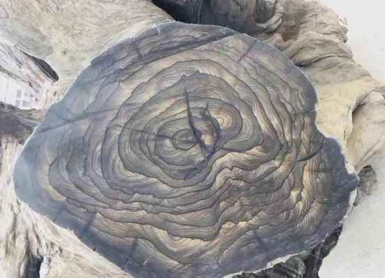 OEM Cericote/Venere di legno ciricote per la falegnameria edilizia