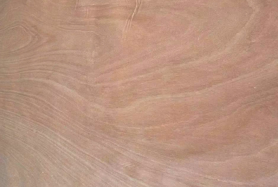 0.1-0.5 mm Veneer Okoume Legno Veneer rotativo pelato 1270 mm * 2500 mm